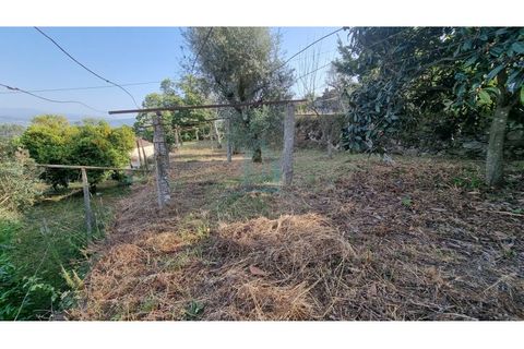 Villa i Penafiel, Porto, Penafiel - € 75.000 | Ref: IMO_448 - foto 21