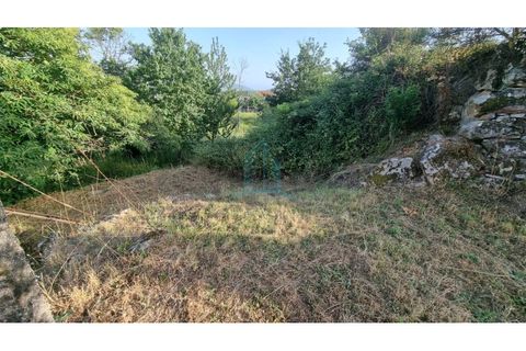 Villa i Penafiel, Porto, Penafiel - € 75.000 | Ref: IMO_448 - foto 22