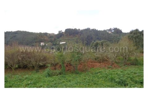 Granja a Gondomar, Porto, Gondomar - € 3.400.000 | Ref: QT6003 - foto 13
