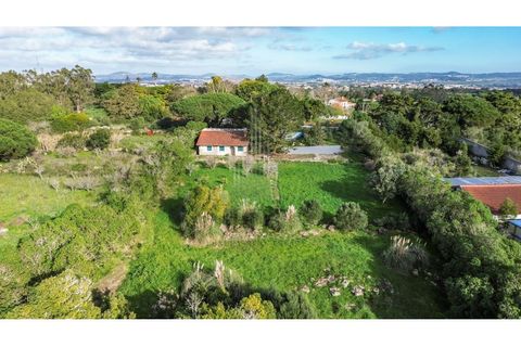 Helårsgrund i Sintra, Lisbon, Sintra - € 780.000 | Ref: HB0679 - foto 4