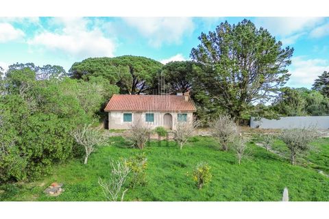 Helårsgrund i Sintra, Lisbon, Sintra - € 780.000 | Ref: HB0679 - foto 13