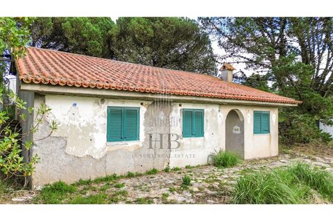 Helårsgrund i Sintra, Lisbon, Sintra - € 780.000 | Ref: HB0679 - foto 16