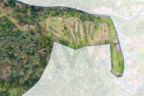 Helårsgrund i Sao Vincente, Madeira, Sao Vincente - € 1.850.000 | Ref: KWPT-027880 - foto 3