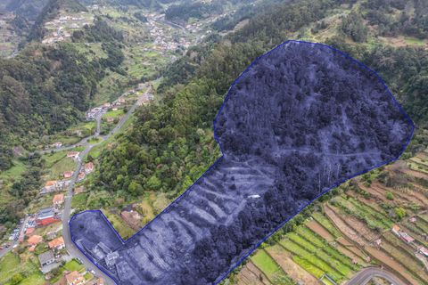 Helårsgrund i Sao Vincente, Madeira, Sao Vincente - € 1.850.000 | Ref: KWPT-027880 - foto 6