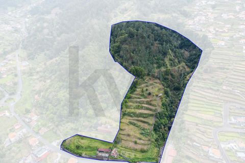 Helårsgrund i Sao Vincente, Madeira, Sao Vincente - € 1.850.000 | Ref: KWPT-027880 - foto 7