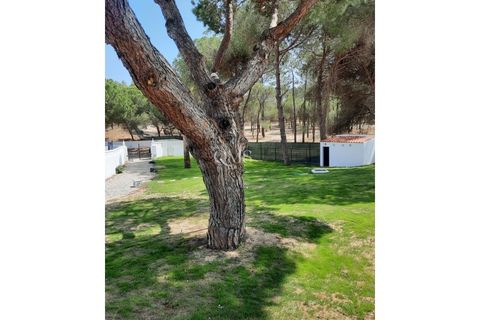 Villa a Almancil, Faro, Almancil - € 7.950/mes | Ref: QMS_156081 - foto 44