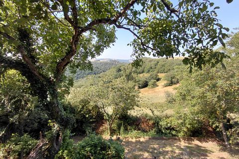 Villa i Saint-Christophe, Tarn, Saint-Christophe - € 180.000 | Ref: BVI86071 - foto 12