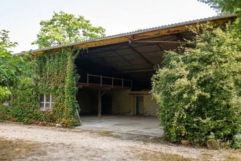 Villa i Montaigu-de-Quercy, Tarn-et-Garonne, Montaigu-de-Quercy - € 299.000 | Ref: BVI86009 - foto 5