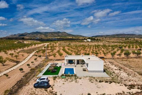 Villa i Pinoso, Alicante, Pinoso - € 425.000 | Ref: 789622 - foto 14
