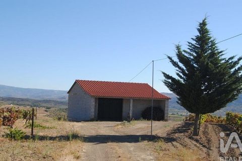 Tomt i Vila Flor, Braganca, Vila Flor - € 840 000 | Ref: 974171 - foto 2
