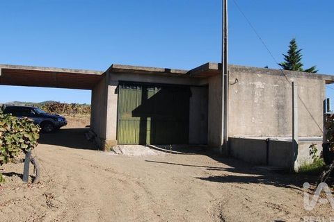 Tomt i Vila Flor, Braganca, Vila Flor - € 840 000 | Ref: 974171 - foto 4