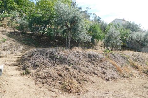 Villa i Seia, Guarda, Seia - € 180 000 | Ref: 382260072 - foto 13