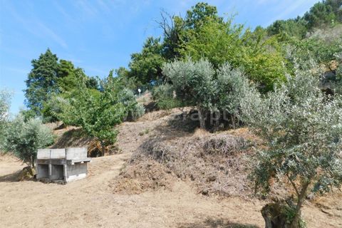 Villa i Seia, Guarda, Seia - € 180 000 | Ref: 382260072 - foto 15