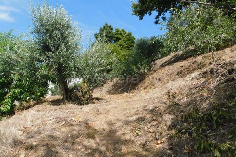 Villa i Seia, Guarda, Seia - € 180 000 | Ref: 382260072 - foto 16