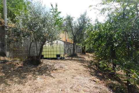 Villa i Seia, Guarda, Seia - € 180 000 | Ref: 382260072 - foto 17