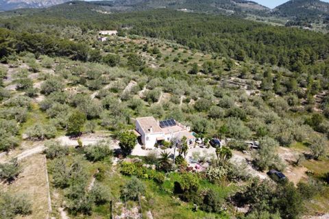 Finca a El Perello, Tarragona, El Perello - € 295.000 | Ref: S-1600675 - foto 22