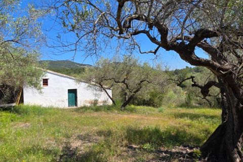 Finca a El Perello, Tarragona, El Perello - € 295.000 | Ref: S-1600675 - foto 23