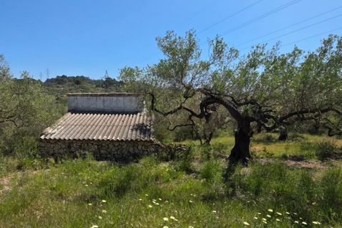 Finca a El Perello, Tarragona, El Perello - € 295.000 | Ref: S-1600675 - foto 25