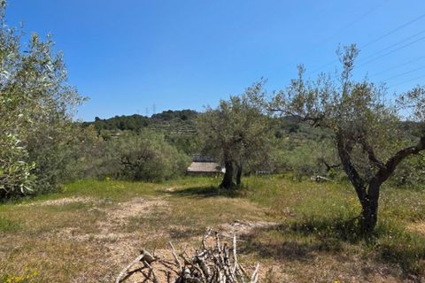 Finca a El Perello, Tarragona, El Perello - € 295.000 | Ref: S-1600675 - foto 27