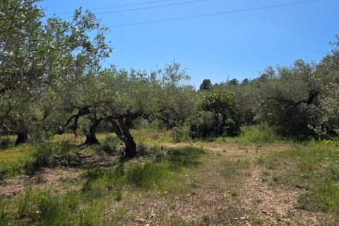 Finca a El Perello, Tarragona, El Perello - € 295.000 | Ref: S-1600675 - foto 28