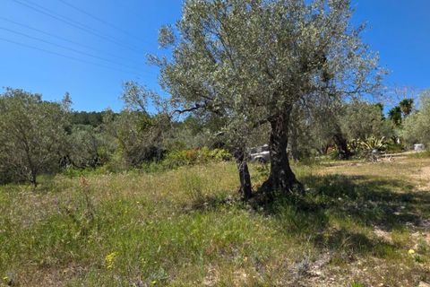 Finca a El Perello, Tarragona, El Perello - € 295.000 | Ref: S-1600675 - foto 29