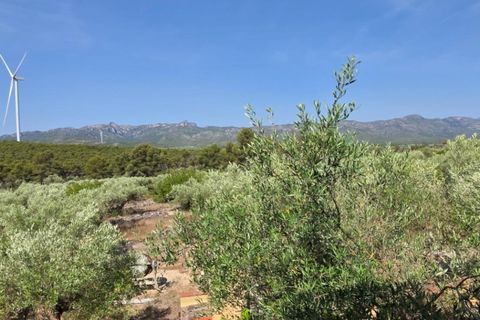 Finca a El Perello, Tarragona, El Perello - € 285.000 | Ref: S-1604869 - foto 17