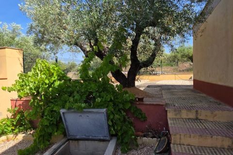 Finca a El Perello, Tarragona, El Perello - € 285.000 | Ref: S-1604869 - foto 19