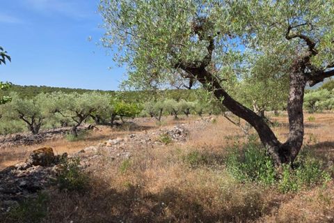 Finca a El Perello, Tarragona, El Perello - € 285.000 | Ref: S-1604869 - foto 23