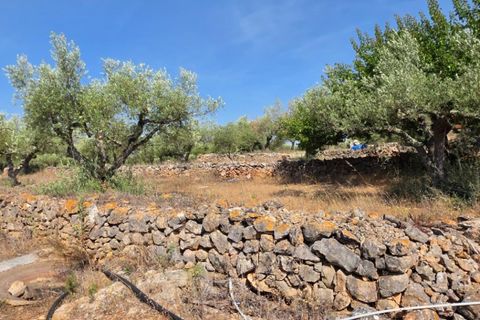 Finca a El Perello, Tarragona, El Perello - € 285.000 | Ref: S-1604869 - foto 25