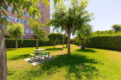 Lejlighed i La Mata, Alicante, La Mata - € 199.500 | Ref: MLSC392781 - foto 22