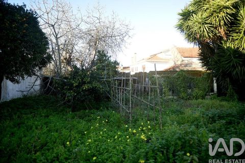 Byhus i Ilhavo, Aveiro, Ilhavo - € 250.000 | Ref: 973885 - foto 27