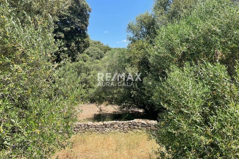 Villa i Arta, Mallorca, Arta - € 371 000 | Ref: 2418 - foto 6