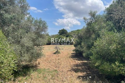 Villa i Arta, Mallorca, Arta - € 371 000 | Ref: 2418 - foto 7