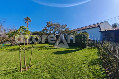 Villa i Ponta Delgada, Sao Miguel, Ponta Delgada - € 650.000 | Ref: 21174 - foto 7