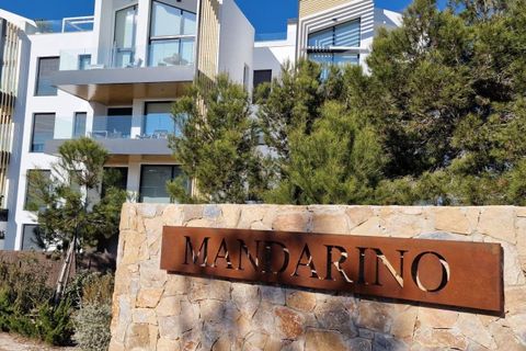Lejlighed i Orihuela, Alicante, Orihuela - € 479.000 | Ref: AG19MLSC8823861 - foto 48