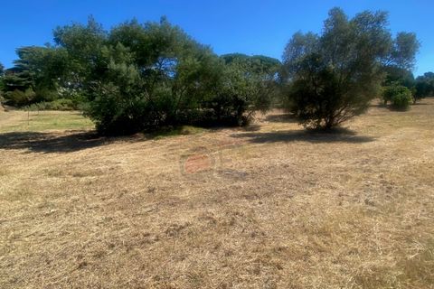 Tomt i Calonge, Gerona, Calonge - € 160 000 | Ref: 1763 FVE - foto 7