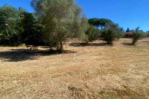 Tomt i Calonge, Gerona, Calonge - € 160 000 | Ref: 1763 FVE - foto 8