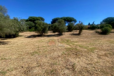 Tomt i Calonge, Gerona, Calonge - € 160 000 | Ref: 1763 FVE - foto 10