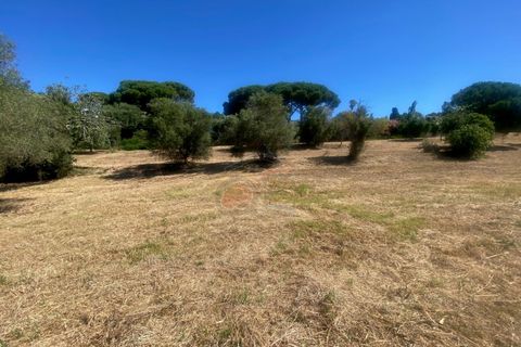 Tomt i Calonge, Gerona, Calonge - € 160 000 | Ref: 1763 FVE - foto 11