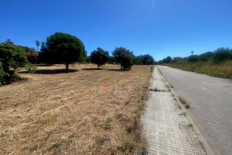 Tomt i Calonge, Gerona, Calonge - € 160 000 | Ref: 1763 FVE - foto 14