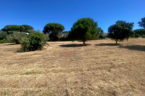 Tomt i Calonge, Gerona, Calonge - € 160 000 | Ref: 1763 FVE - foto 15