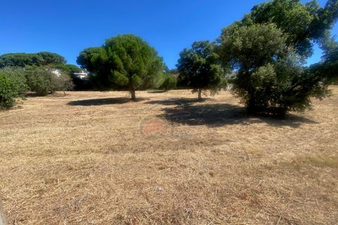 Tomt i Calonge, Gerona, Calonge - € 160 000 | Ref: 1763 FVE - foto 16