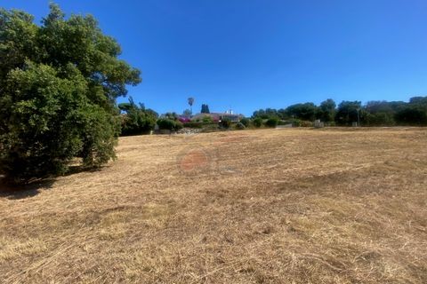 Tomt i Calonge, Gerona, Calonge - € 160 000 | Ref: 1763 FVE - foto 18