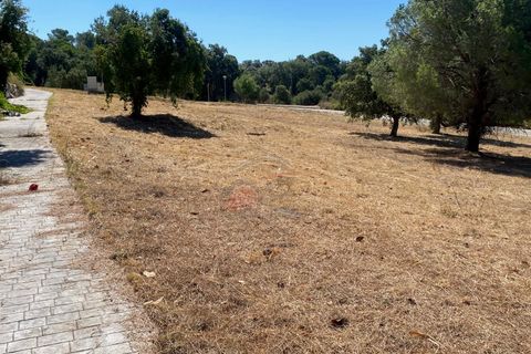 Tomt i Calonge, Gerona, Calonge - € 160 000 | Ref: 1763 FVE - foto 26
