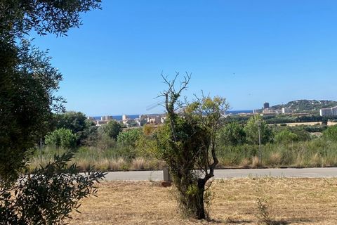 Tomt i Calonge, Gerona, Calonge - € 160 000 | Ref: 1763 FVE - foto 28