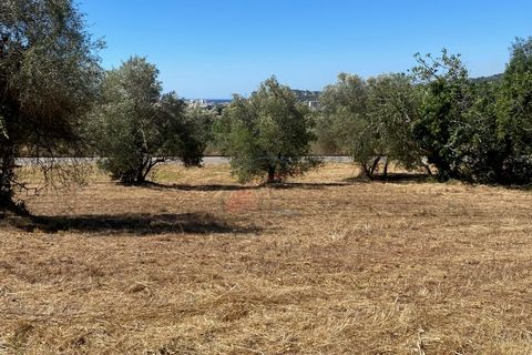 Tomt i Calonge, Gerona, Calonge - € 160 000 | Ref: 1763 FVE - foto 29