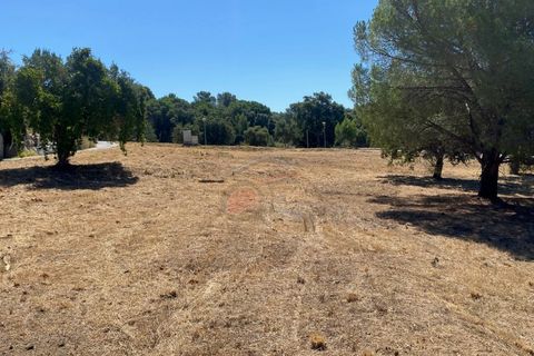 Tomt i Calonge, Gerona, Calonge - € 160 000 | Ref: 1763 FVE - foto 30