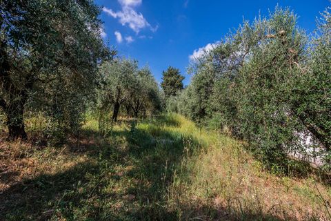 Landejendom i Peccioli, Pisa, Peccioli - € 550.000 | Ref: R07306PERU - foto 11