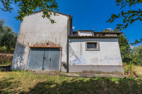Landejendom i Peccioli, Pisa, Peccioli - € 550.000 | Ref: R07306PERU - foto 16