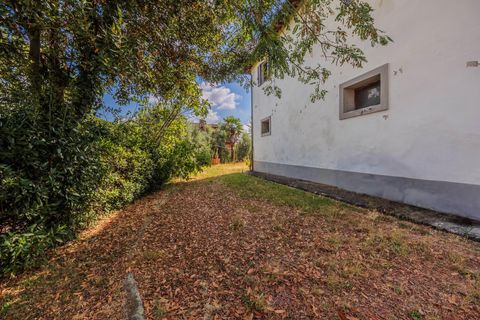 Landejendom i Peccioli, Pisa, Peccioli - € 550.000 | Ref: R07306PERU - foto 15